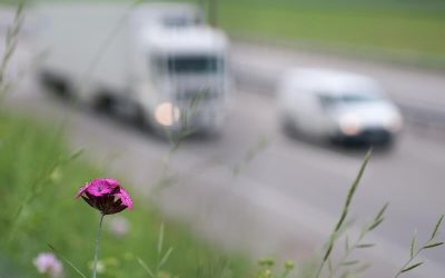 Calcolo Bollo Auto per Classe Euro