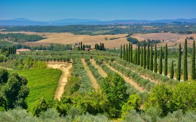 Calcolo Bollo Auto Toscana 2026