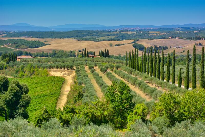 Calcolo Bollo Auto Toscana 2026