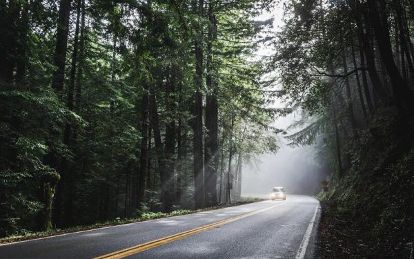 Come Si Calcola il Bollo Auto 2026